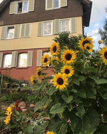 Sonnige Ferienwohnung Schramberg Exterior foto